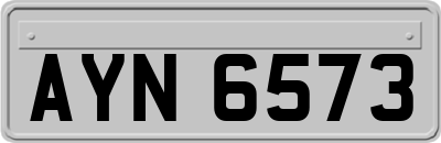 AYN6573