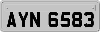 AYN6583