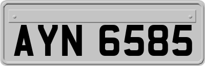 AYN6585