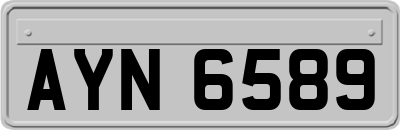 AYN6589