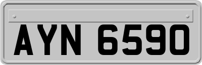 AYN6590