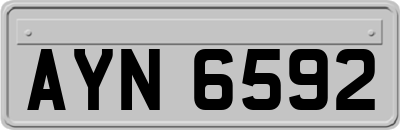 AYN6592