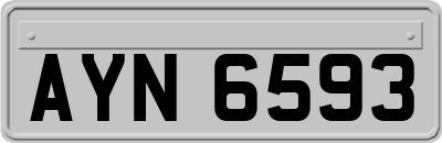 AYN6593