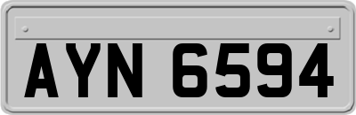 AYN6594
