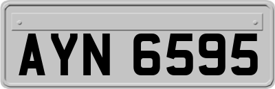 AYN6595