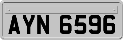 AYN6596