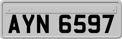 AYN6597