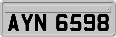 AYN6598