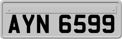 AYN6599