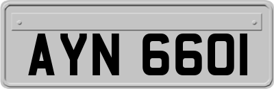 AYN6601