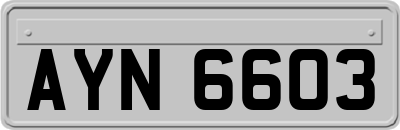 AYN6603