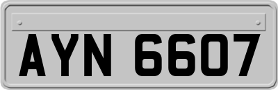 AYN6607