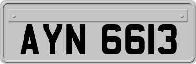 AYN6613