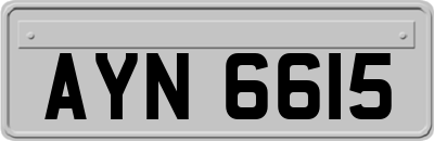 AYN6615