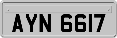 AYN6617