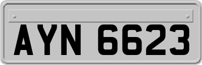 AYN6623