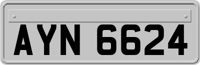 AYN6624
