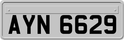 AYN6629