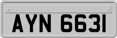 AYN6631