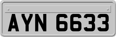 AYN6633