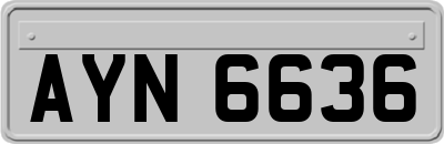 AYN6636