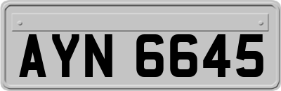 AYN6645