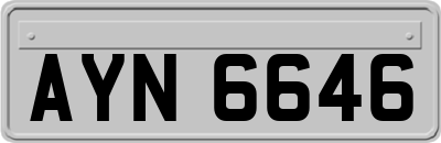 AYN6646