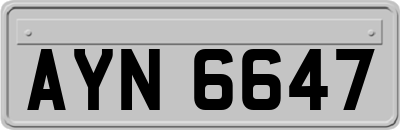 AYN6647