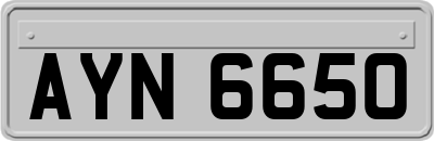 AYN6650