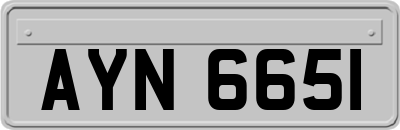 AYN6651