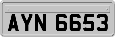 AYN6653
