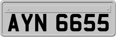 AYN6655