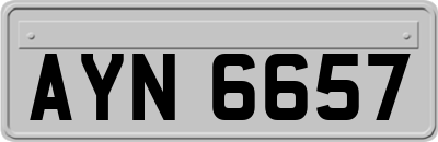AYN6657