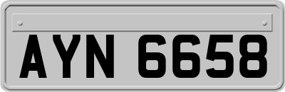 AYN6658