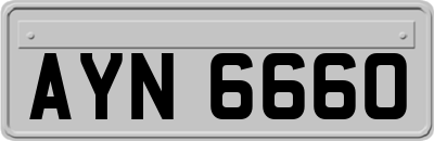 AYN6660