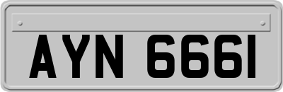 AYN6661
