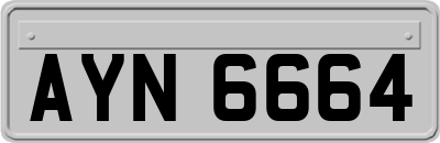 AYN6664