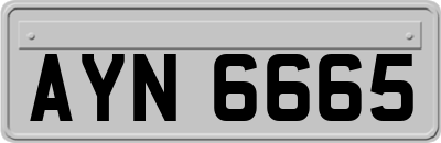 AYN6665