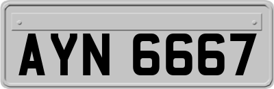 AYN6667