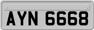 AYN6668