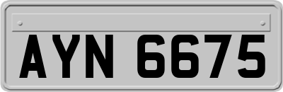 AYN6675