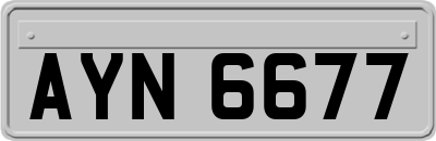 AYN6677