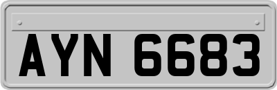 AYN6683