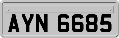 AYN6685