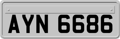AYN6686