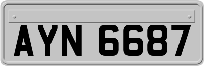 AYN6687