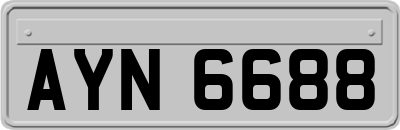AYN6688