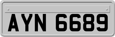 AYN6689