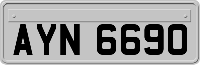 AYN6690