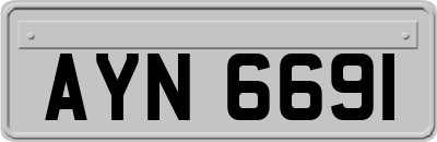 AYN6691
